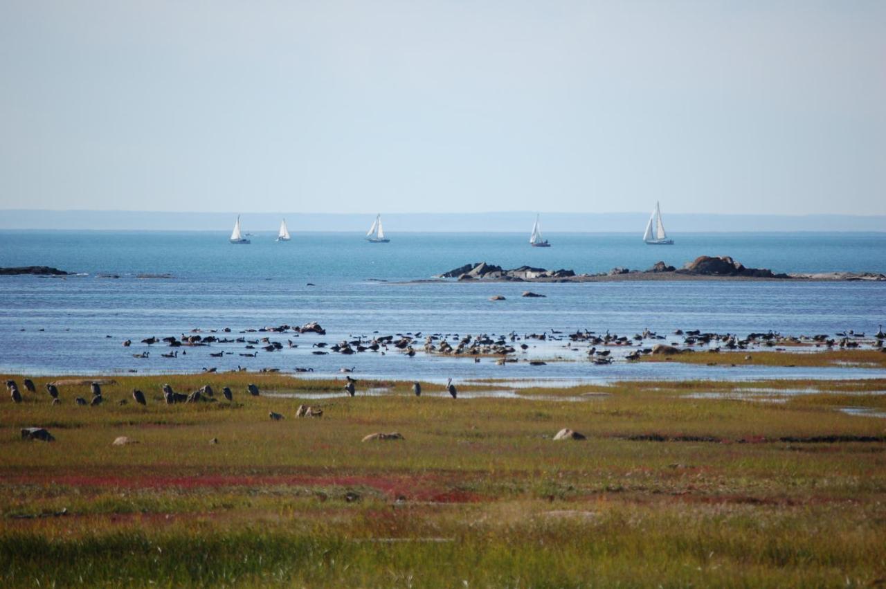 Motel Au Soleil Couchant Rimouski Buitenkant foto